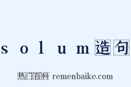 solum造句是什么意思的图片